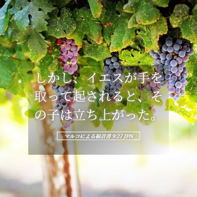Picture 05 - マルコによる福音書 9:27 JPN - しかし、イエスが手を取って起され - Bible Verse Picture