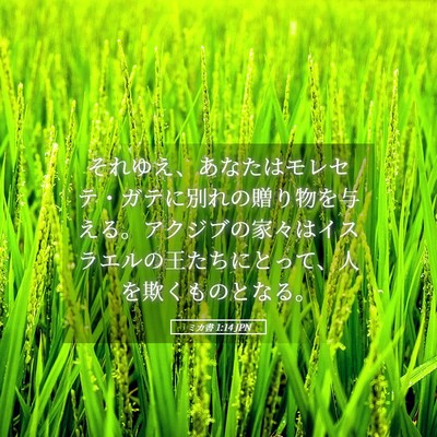 Picture 05 - ミカ書 1:14 JPN - それゆえ、あなたはモレセテ・ガテ - Bible Verse Picture