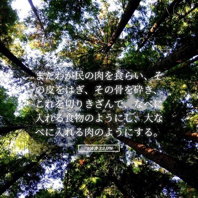 Picture 05 - ミカ書 3:3 JPN - またわが民の肉を食らい、その皮を - Bible Verse Picture
