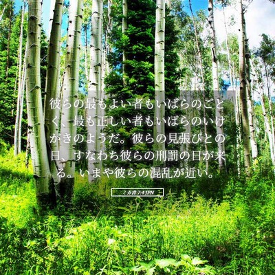 Picture 05 - ミカ書 7:4 JPN - 彼らの最もよい者もいばらのごとく - Bible Verse Picture