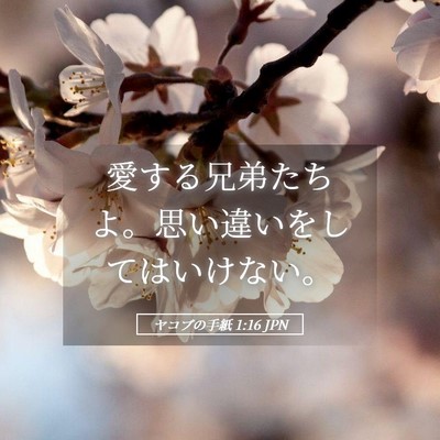 Picture 05 - ヤコブの手紙 1:16 JPN - 愛する兄弟たちよ。思い違いをして - Bible Verse Picture