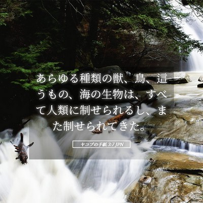 Picture 05 - ヤコブの手紙 3:7 JPN - あらゆる種類の獣、鳥、這うもの、 - Bible Verse Picture