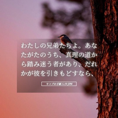 Picture 05 - ヤコブの手紙 5:19 JPN - わたしの兄弟たちよ。あなたがたの - Bible Verse Picture