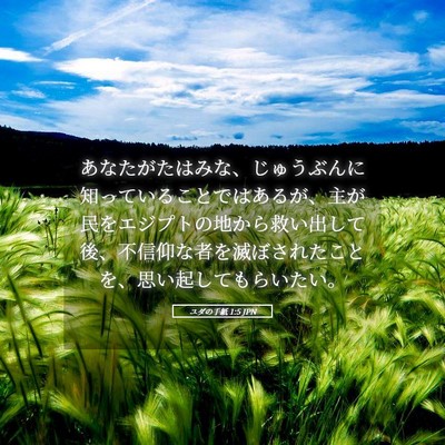 Picture 05 - ユダの手紙 1:5 JPN - あなたがたはみな、じゅうぶんに知 - Bible Verse Picture