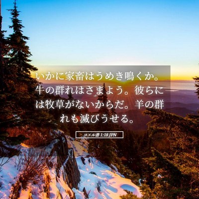 Picture 05 - ヨエル書 1:18 JPN - いかに家畜はうめき鳴くか。牛の群 - Bible Verse Picture