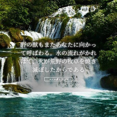 Picture 05 - ヨエル書 1:20 JPN - 野の獣もまたあなたに向かって呼ば - Bible Verse Picture