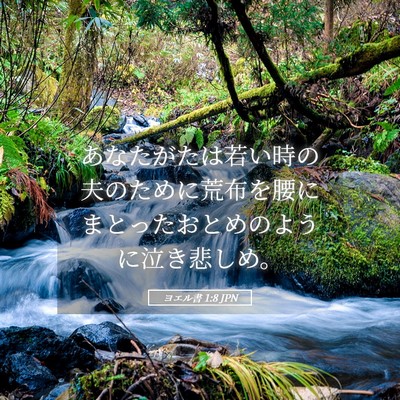 Picture 05 - ヨエル書 1:8 JPN - あなたがたは若い時の夫のために荒 - Bible Verse Picture