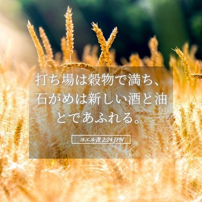 Picture 05 - ヨエル書 2:24 JPN - 打ち場は穀物で満ち、石がめは新し - Bible Verse Picture