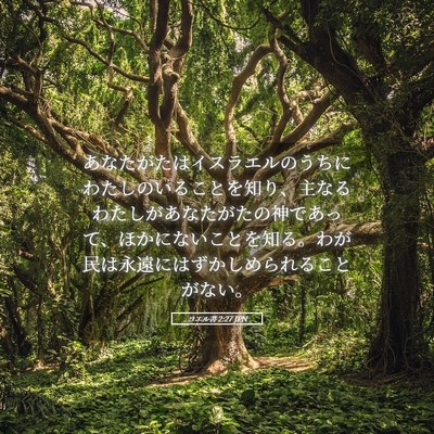 Picture 05 - ヨエル書 2:27 JPN - あなたがたはイスラエルのうちにわ - Bible Verse Picture