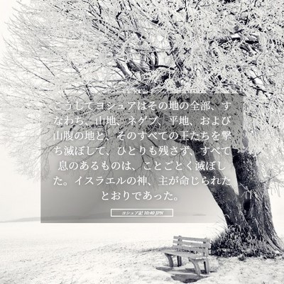Picture 05 - ヨシュア記 10:40 JPN - こうしてヨシュアはその地の全部、 - Bible Verse Picture