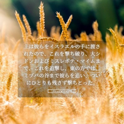 Picture 05 - ヨシュア記 11:8 JPN - 主は彼らをイスラエルの手に渡され - Bible Verse Picture