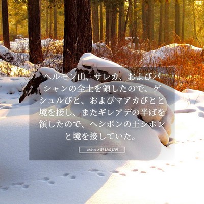 Picture 05 - ヨシュア記 12:5 JPN - ヘルモン山、サレカ、およびバシャ - Bible Verse Picture