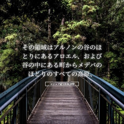 Picture 05 - ヨシュア記 13:16 JPN - その領域はアルノンの谷のほとりに - Bible Verse Picture