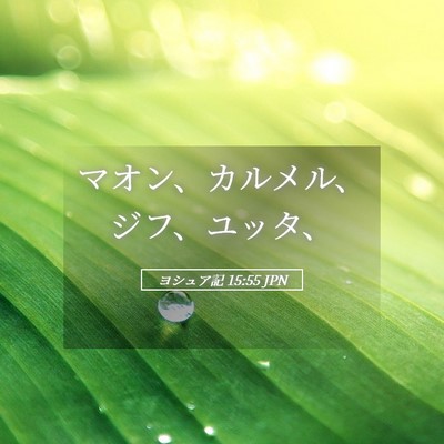 Picture 05 - ヨシュア記 15:55 JPN - マオン、カルメル、ジフ、ユッタ、 - Bible Verse Picture
