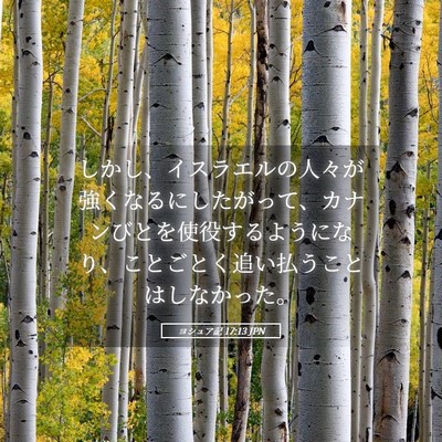 Picture 05 - ヨシュア記 17:13 JPN - しかし、イスラエルの人々が強くな - Bible Verse Picture