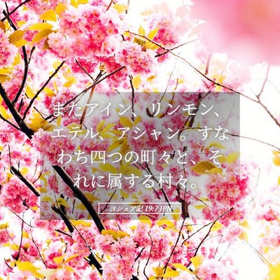 Picture 05 - ヨシュア記 19:7 JPN - またアイン、リンモン、エテル、ア - Bible Verse Picture