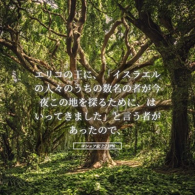 Picture 05 - ヨシュア記 2:2 JPN - エリコの王に、「イスラエルの人々 - Bible Verse Picture