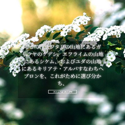 Picture 05 - ヨシュア記 20:7 JPN - そこで、ナフタリの山地にあるガリ - Bible Verse Picture