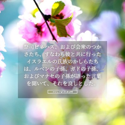 Picture 05 - ヨシュア記 22:30 JPN - 祭司ピネハス、および会衆のつかさ - Bible Verse Picture