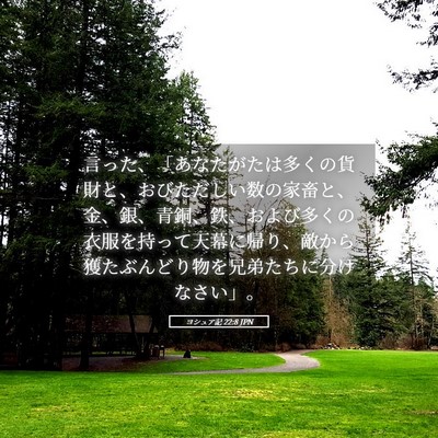 Picture 05 - ヨシュア記 22:8 JPN - 言った、「あなたがたは多くの貨財 - Bible Verse Picture