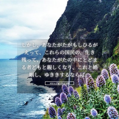 Picture 05 - ヨシュア記 23:12 JPN - しかし、あなたがたがもしひるがえ - Bible Verse Picture