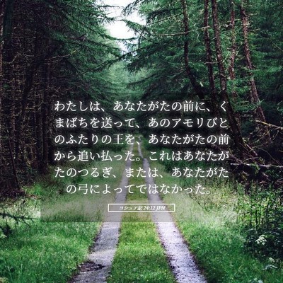 Picture 05 - ヨシュア記 24:12 JPN - わたしは、あなたがたの前に、くま - Bible Verse Picture