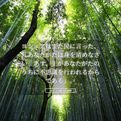 Picture 05 - ヨシュア記 3:5 JPN - ヨシュアはまた民に言った、「あな - Bible Verse Picture