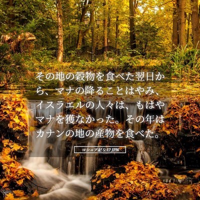 Picture 05 - ヨシュア記 5:12 JPN - その地の穀物を食べた翌日から、マ - Bible Verse Picture