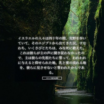 Picture 05 - ヨシュア記 5:6 JPN - イスラエルの人々は四十年の間、荒 - Bible Verse Picture