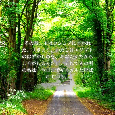 Picture 05 - ヨシュア記 5:9 JPN - その時、主はヨシュアに言われた、 - Bible Verse Picture