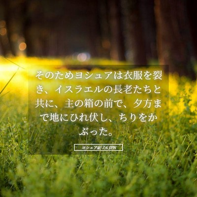 Picture 05 - ヨシュア記 7:6 JPN - そのためヨシュアは衣服を裂き、イ - Bible Verse Picture