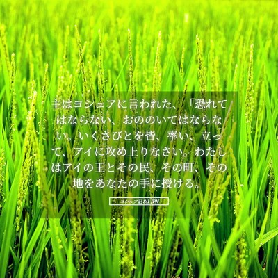 Picture 05 - ヨシュア記 8:1 JPN - 主はヨシュアに言われた、「恐れて - Bible Verse Picture