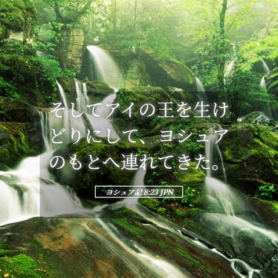 Picture 05 - ヨシュア記 8:23 JPN - そしてアイの王を生けどりにして、 - Bible Verse Picture