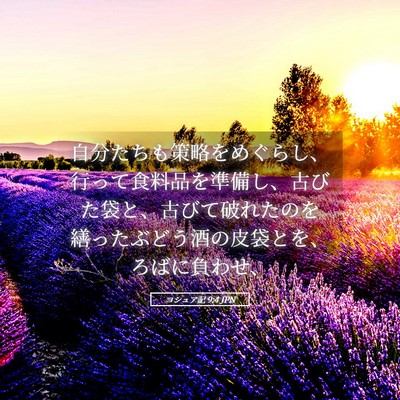 Picture 05 - ヨシュア記 9:4 JPN - 自分たちも策略をめぐらし、行って - Bible Verse Picture