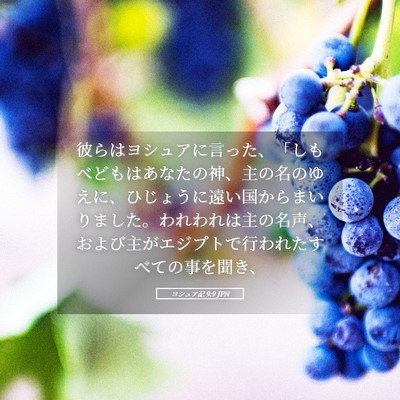 Picture 05 - ヨシュア記 9:9 JPN - 彼らはヨシュアに言った、「しもべ - Bible Verse Picture