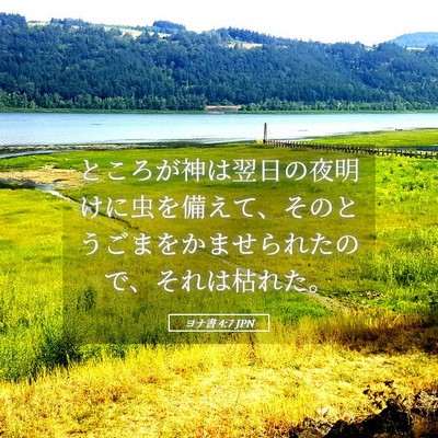Picture 05 - ヨナ書 4:7 JPN - ところが神は翌日の夜明けに虫を備 - Bible Verse Picture