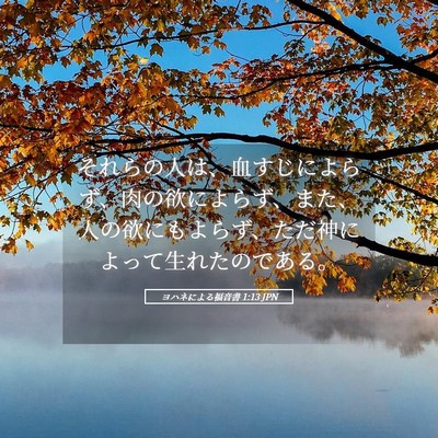 Picture 05 - ヨハネによる福音書 1:13 JPN - それらの人は、血すじによらず、肉 - Bible Verse Picture