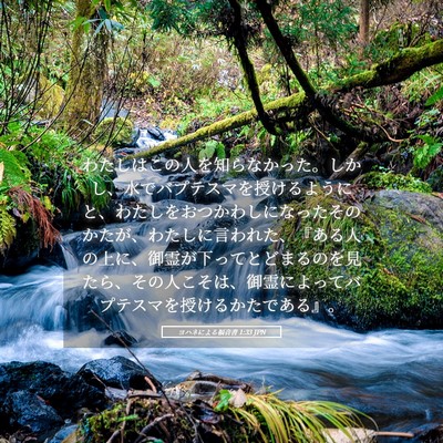 Picture 05 - ヨハネによる福音書 1:33 JPN - わたしはこの人を知らなかった。し - Bible Verse Picture