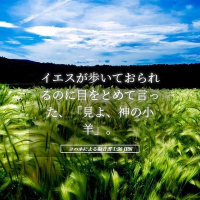 Picture 05 - ヨハネによる福音書 1:36 JPN - イエスが歩いておられるのに目をと - Bible Verse Picture