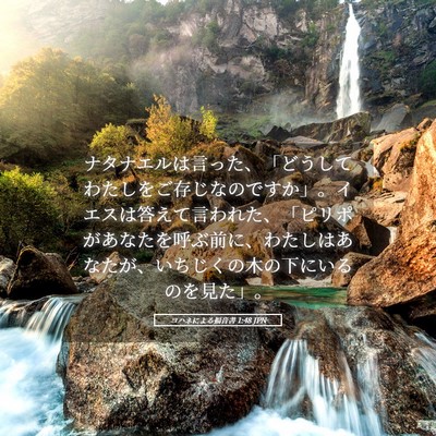 Picture 05 - ヨハネによる福音書 1:48 JPN - ナタナエルは言った、「どうしてわ - Bible Verse Picture
