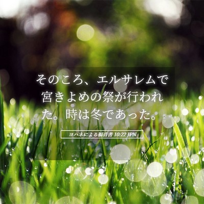 Picture 05 - ヨハネによる福音書 10:22 JPN - そのころ、エルサレムで宮きよめの - Bible Verse Picture
