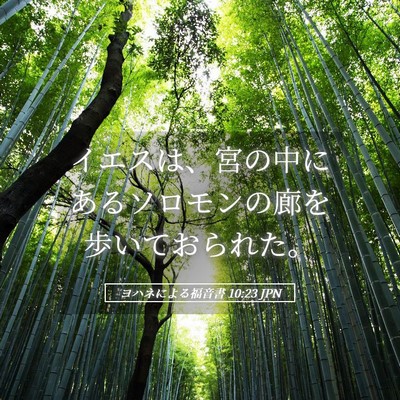 Picture 05 - ヨハネによる福音書 10:23 JPN - イエスは、宮の中にあるソロモンの - Bible Verse Picture