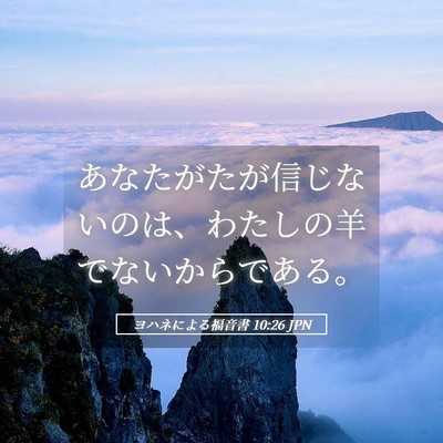 Picture 05 - ヨハネによる福音書 10:26 JPN - あなたがたが信じないのは、わたし - Bible Verse Picture