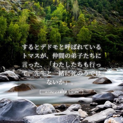 Picture 05 - ヨハネによる福音書 11:16 JPN - するとデドモと呼ばれているトマス - Bible Verse Picture