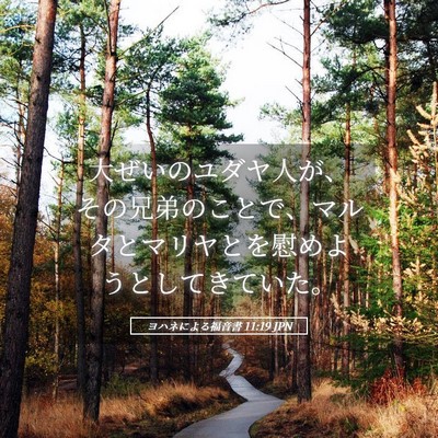 Picture 05 - ヨハネによる福音書 11:19 JPN - 大ぜいのユダヤ人が、その兄弟のこ - Bible Verse Picture