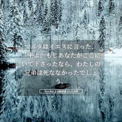 Picture 05 - ヨハネによる福音書 11:21 JPN - マルタはイエスに言った、「主よ、 - Bible Verse Picture