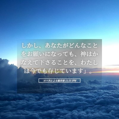 Picture 05 - ヨハネによる福音書 11:22 JPN - しかし、あなたがどんなことをお願 - Bible Verse Picture