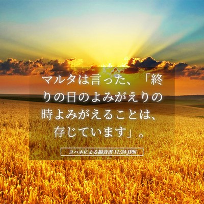 Picture 05 - ヨハネによる福音書 11:24 JPN - マルタは言った、「終りの日のよみ - Bible Verse Picture