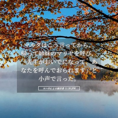 Picture 05 - ヨハネによる福音書 11:28 JPN - マルタはこう言ってから、帰って姉 - Bible Verse Picture