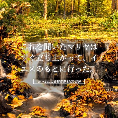 Picture 05 - ヨハネによる福音書 11:29 JPN - これを聞いたマリヤはすぐ立ち上が - Bible Verse Picture